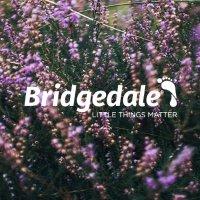 Bridgedale (@bridgedalesocks) 's Twitter Profile