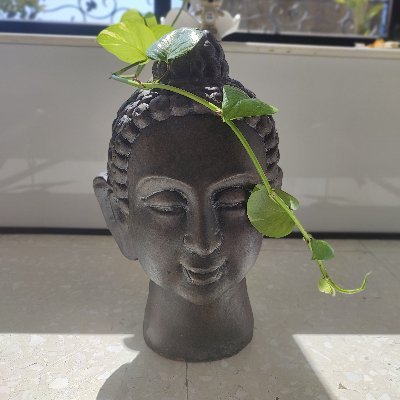 Like to help people. Boosts my 'happy hormones': https://t.co/8CV6ADwHS3… ;)