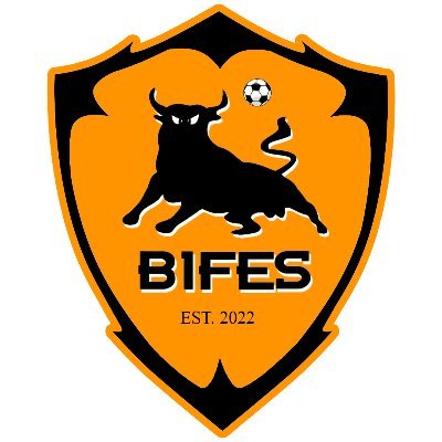 BifesMFC Profile Picture