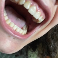 Paladin of Vengeance (@mwmtgiant) 's Twitter Profile Photo