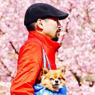 Filmemaker とチワワのイチ|街に映画館を|スナックあた美|映画製作「熱海モンスター」「傘カラカサ」「温泉防衛バスダイバー」「ふくしま就活ものがたり」「温泉シャーク」| サメ映画学会員|アニメ特撮アーカイブ機構賛助会員 #今日の八卦 『再現性』