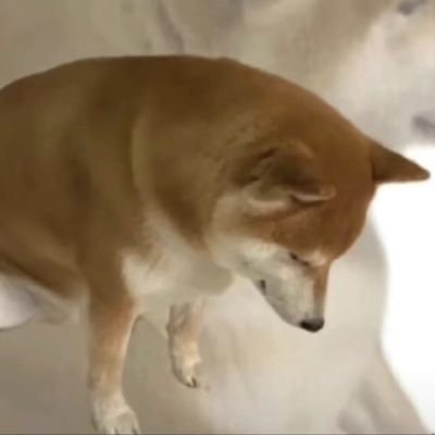 jsxiangshuijiao's profile picture. 