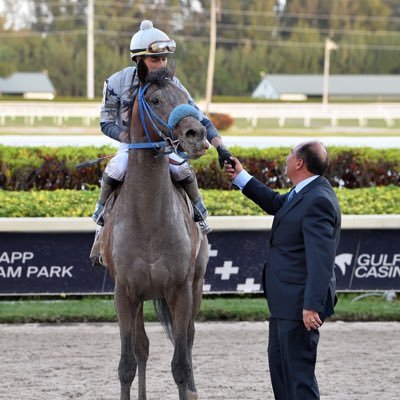 OFFICIAL ACCOUNT of trainer Antonio Sano. Proud Father, Husband and working in one of the most beautiful professions: Training Horses. alesano22@gmail.com