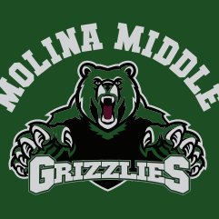 molina_strong's profile picture. Attitude•Effort•Family