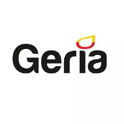 geria_io's profile picture. We build distributed engineering teams