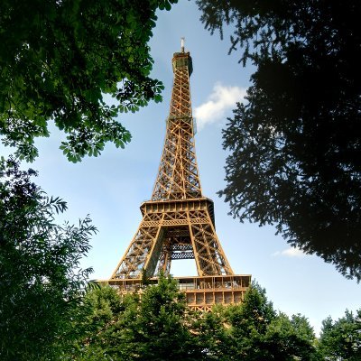 #AuxArbresCitoyens, mouvement pour la sauvegarde des arbres menacés par les travaux #Paris, dont les arbres bicentenaires du site #TourEiffel. #ChampsDeMars