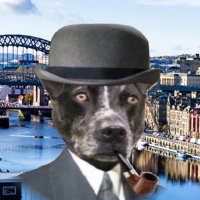 Brookranger (@brookranger) 's Twitter Profile Photo