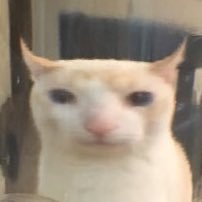 cantakeit2's profile picture. 