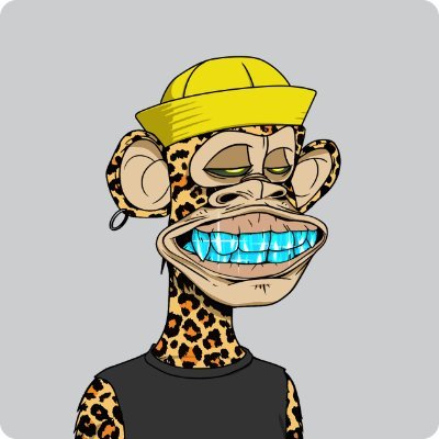 NiFTy NATΞさんのプロフィール画像