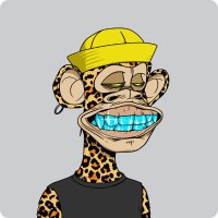 NiFTy NATΞ (@natenft) 's Twitter Profile