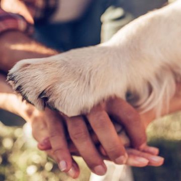 funmoments_nft's profile picture. 💥 A large part of the collected or normal income will be distributed to stray animals and those in need !!! 💯💯