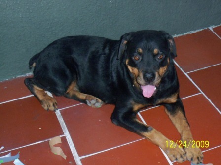 planeta40's profile picture. Ingeniero, amante de la naturaleza y justicia. Creo en meritocracia. Detesto al adulante,mediocre y, guabinoso. La verdad por delante