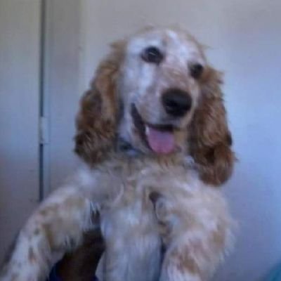 luizgns1980's profile picture. 