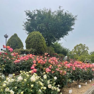 Zfjtlwq1S5VdLdE's profile picture. 