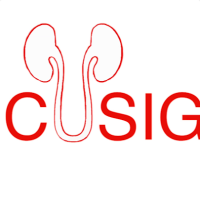 Canadian Urology Student Interest Group(@CUSIG_GEIUC) 's Twitter Profile Photo
