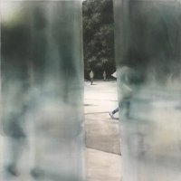 Kakutani Kisho 角谷紀章 (@kakutanikisho) 's Twitter Profile