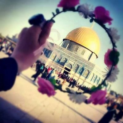 Umme_______Zar's profile picture. Insha Allah phalastine will be free very soon