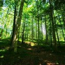 Bill Rouse - @BillRouse19 - Twitter