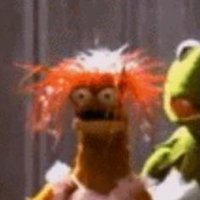 Axolotls (@axolotlsa) 's Twitter Profile