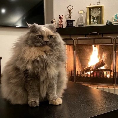 alexeyWasTaken Profile Picture