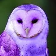 💜☯️TruthWarrior🕉️💜 (@aligningtruth) 's Twitter Profile Photo 💜☯️TruthWarrior🕉️💜 (@aligningtruth) 's Twitter Profile Photo