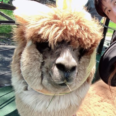 mof2rin2's profile picture. 