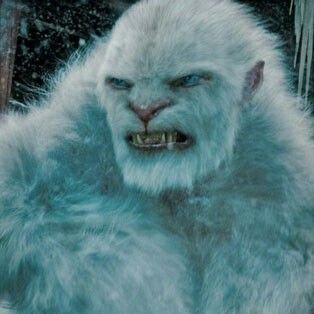 BobbyBlisx's profile picture. know things most people don't, do things most people wont