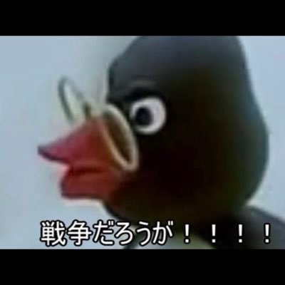 いぐすりさんのプロフィール画像