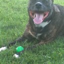 Richard Caster - @rchee90 - Twitter