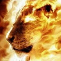 Human Greatness (@humangreatness) 's Twitter Profile