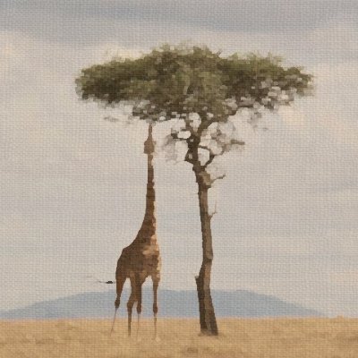 Nature Artist and NFT creator on @VoiceHQ
https://t.co/SUWC1Mj1xw