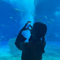 ryoko (@ryk____o) 's Twitter Profile