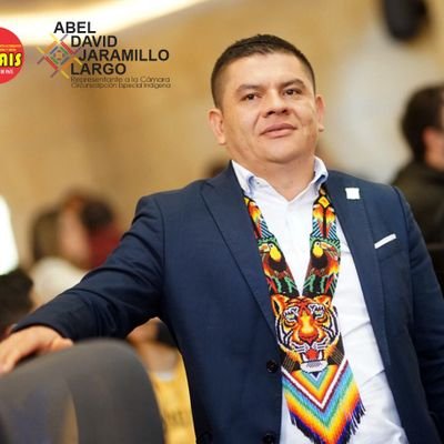 Representante a la Càmara, Circunscripción Especial indigena. Mais