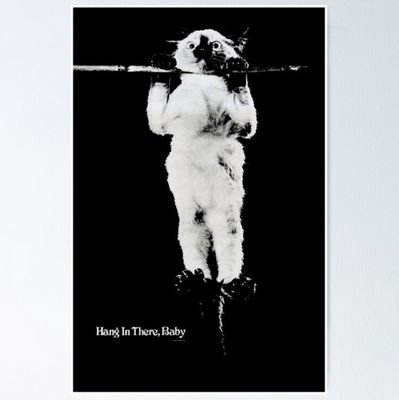 Steve_Howard65's profile picture. 