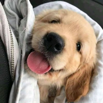 babywjay's profile picture. 