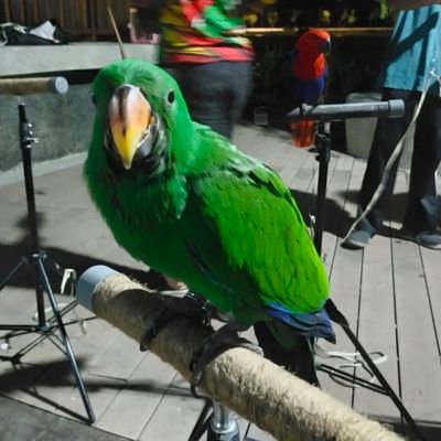 raisha8685's profile picture. N O T  A L O N E