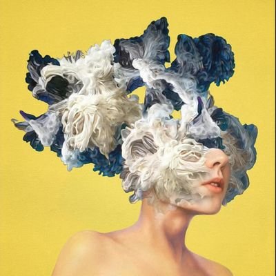 Mufeez14798585's profile picture. A student and a reptile.