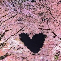 Sunnyzon (@sunnyzon) 's Twitter Profile