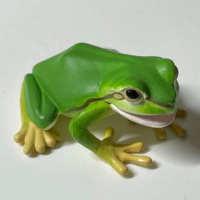 MeiShinHouHen's profile picture. 名大法3編入/DMから質問受け付けてます！