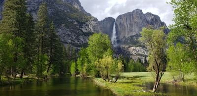 hart4hm2's profile picture. Wife, Mother, Retired Army Officer, Constitutionist, Patriot