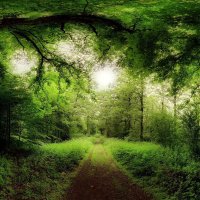 yuh (@whaledeer) 's Twitter Profile