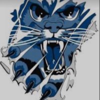 Camden County High School Lady Wildcats (@cchs_ladycatsbb) 's Twitter Profile