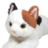 猫鴉 (@madsnuma) Twitter profile photo