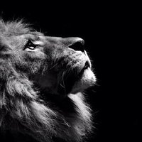 hammad (@h_ammad4) 's Twitter Profile