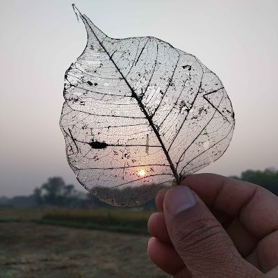 Brijesh57780845's profile picture. Students