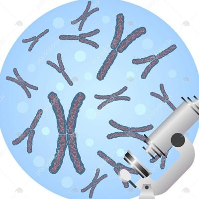 I'm manoel
Student of genetics in one of the most prestigious universities in the world.I'm an NFT artist in creating differe.
https://t.co/q7eWvCCMy5