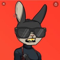 Basementnft (@basementnft) 's Twitter Profile