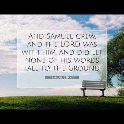 samsonbabs02's profile picture. Am jovial