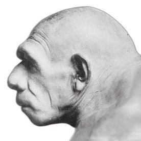 726c67's profile picture. Technologist