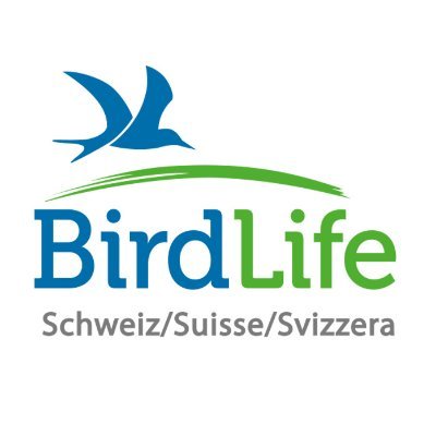 SVS_BirdLife Profile Picture
